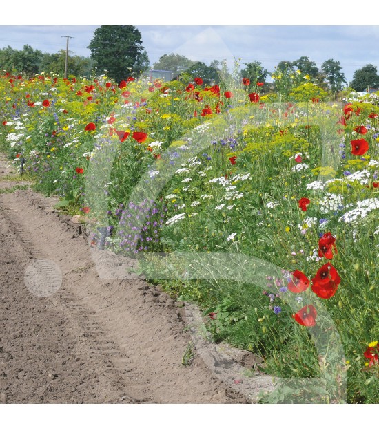 PBI - Mélange Auxiliaire Horticole