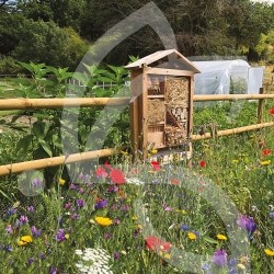 HOTEL A INSECTES GEANT - 150cm + PIEDS DE SCELLEMENT